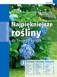 Najpiękniejsze rośliny do twojego ogrodu